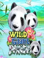 แนะ นํา เว็บ สล็อต 2020 ที่ไม่ควรพลาด