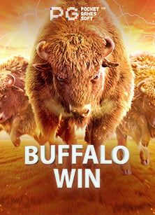 Pharaoh สูตร ที่คุณไม่ควรพลาด!